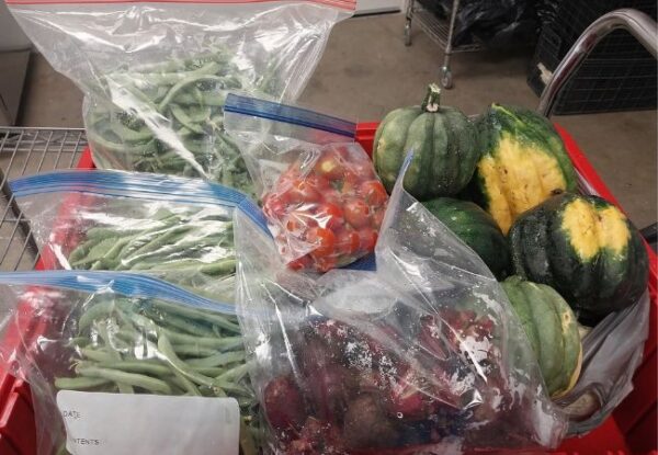 Our Gardener Keeps The Harvest Flowing!